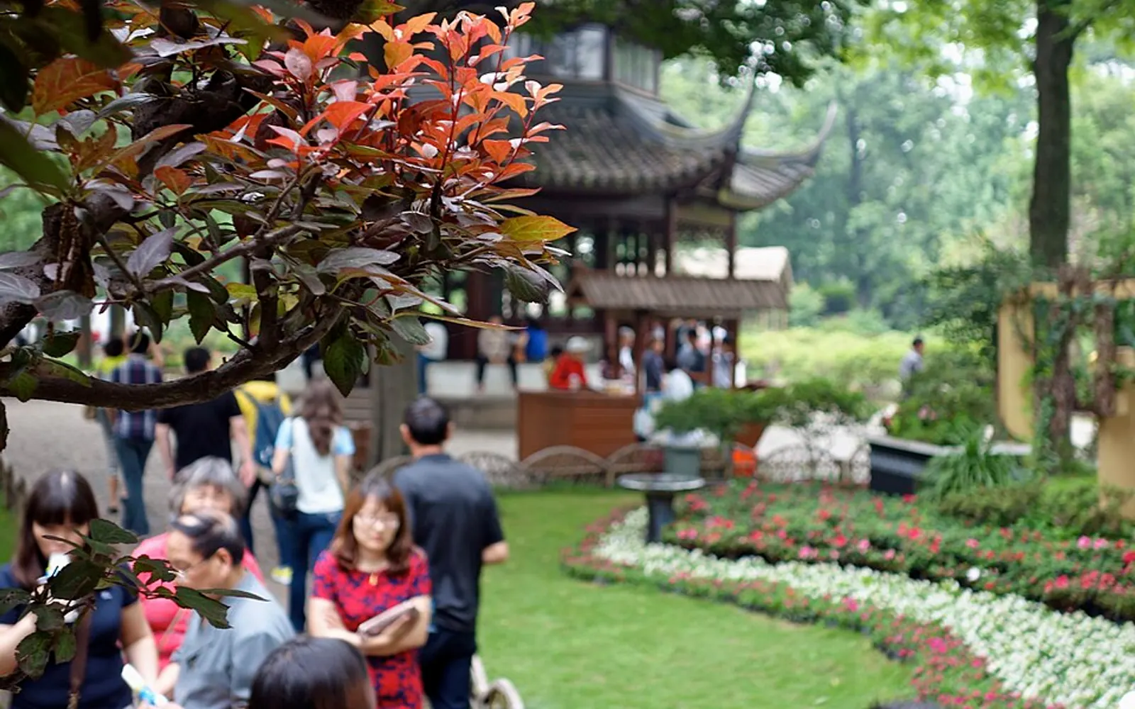 拙政园中的园林亭榭与花木