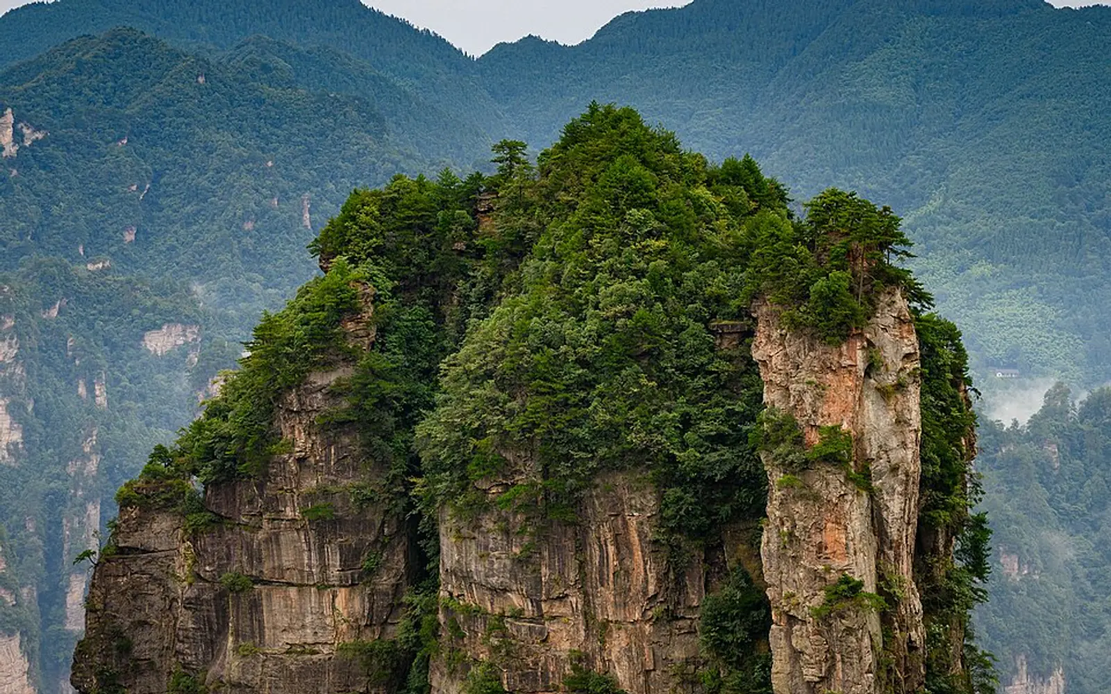 张家界国家森林公园覆满森林的砂岩峰柱