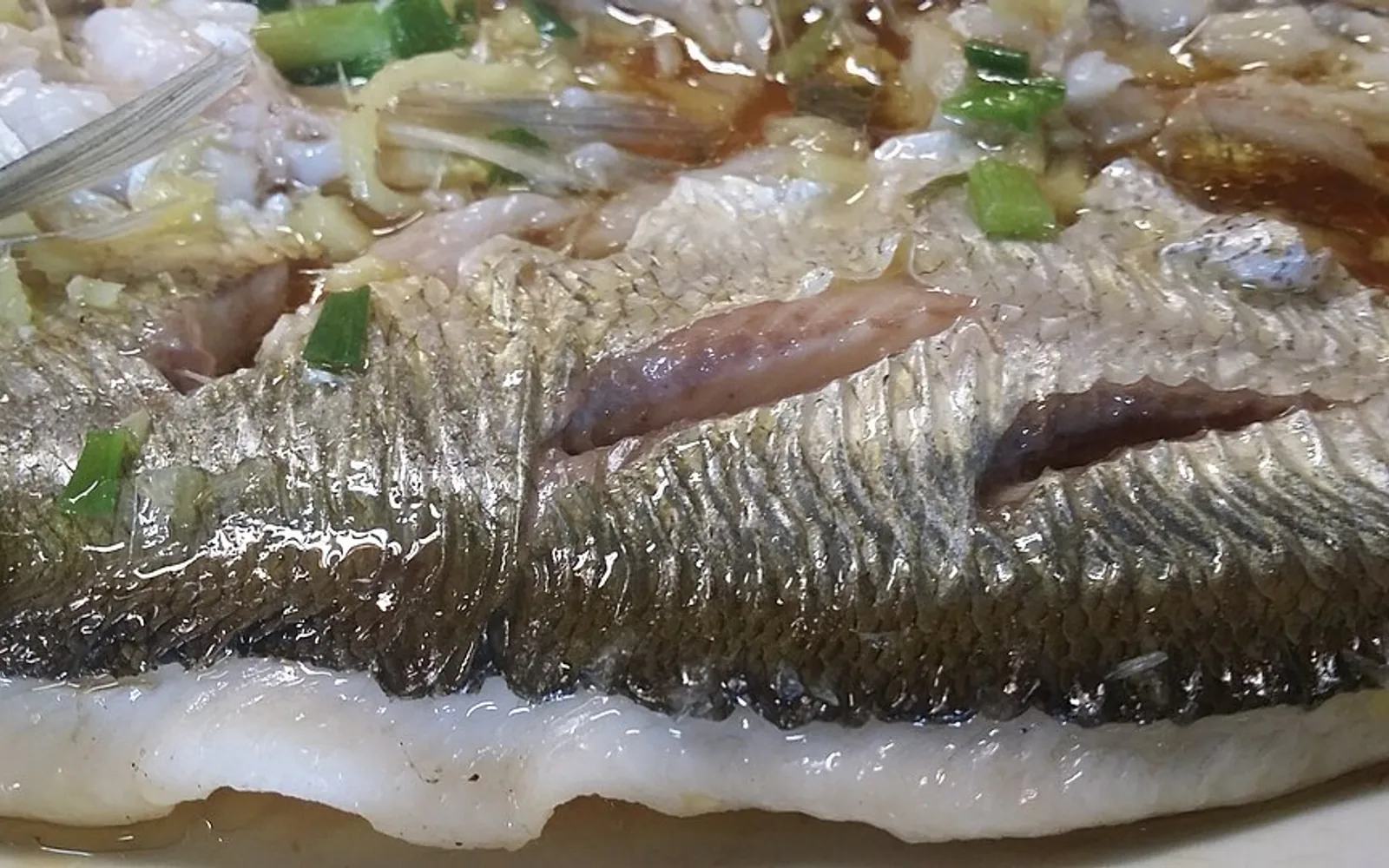 太湖白鱼